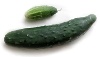 Bild auf Wikimedia
